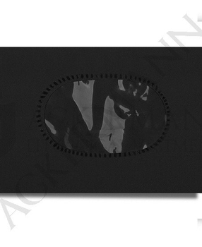 Cover for vestments
